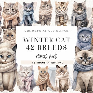 Lot de cliparts aquarelle chat de Noël, chat d'hiver, scrapbooking png, joli chat aquarelle, animaux hivernaux, portraits de chats, sublimation de chat