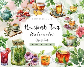 Watercolor Clipart Herbal Tea, Commercial Use, Tea Party Png, Scrapbooking, Floral, Blush, Rose, Beautiful Herbology, Apothecary, Herbs PNG