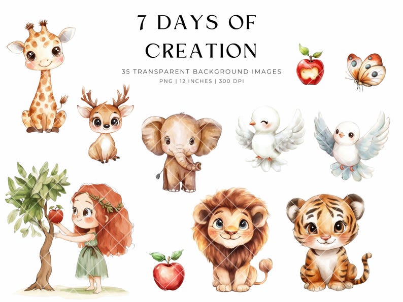 7 Days of Creation Clipart, Sunday School, Biblical Characters, Watercolor Clip Art, Bible Story, Adam and Eve, Kids Bible Images, Christian image 4