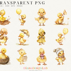May include: A set of 30 digital illustrations of cute yellow ducklings in various poses. The ducklings are holding balloons, umbrellas, gifts, and other items. The illustrations are perfect for adding a touch of whimsy to your designs.