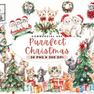 Grillige kerst katten clipart, eigenzinnige kittens, schattige kerst graphics, feestelijke kat, kerstboom, ornamenten, ongewenste tijdschriften, commercieel gebruik