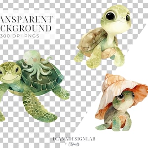 Pu&ograve; includere: Tre illustrazioni ad acquerello di tartarughe marine. Una tartaruga indossa un cappello di conchiglia. Un'altra tartaruga ha un polpo che le cavalca sulla schiena. La terza tartaruga sta nuotando.