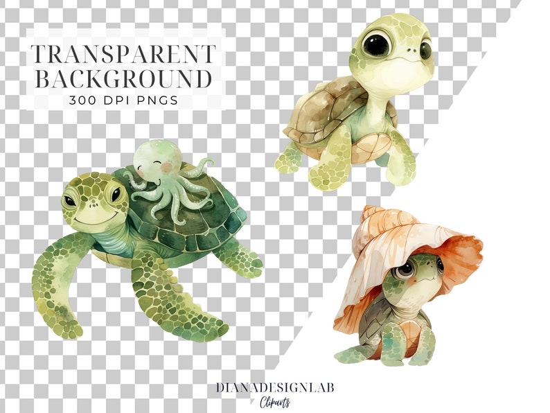 Pu&ograve; includere: Tre illustrazioni ad acquerello di tartarughe marine. Una tartaruga indossa un cappello di conchiglia. Un'altra tartaruga ha un polpo che le cavalca sulla schiena. La terza tartaruga sta nuotando.
