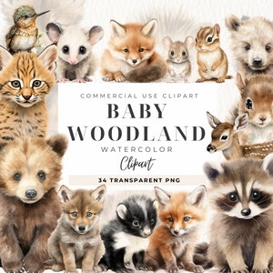 Acquerello Baby Woodland Animals Clipart, ClipArt di scuola materna, Volpe, Orso, Cervo, Riccio, Baby Shower, Animali Neonati, Uso commerciale