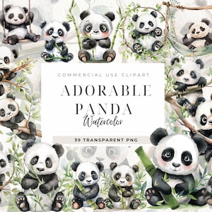 Clipart de aquarela de panda fofo, uso comercial, clipart de berçário, animais bebês, folhagens, diários indesejados, download digital png, criação de cartões