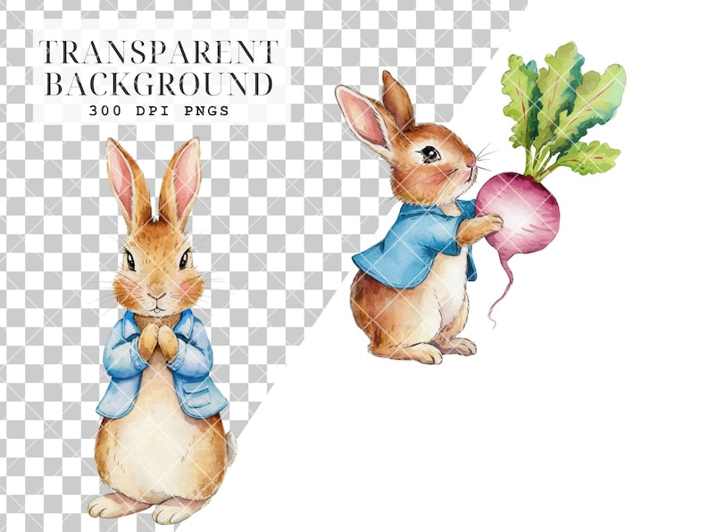 May include: Two watercolor illustrations of brown rabbits wearing blue jackets. One rabbit is holding a pink turnip with green leaves.  The illustrations have a transparent background.