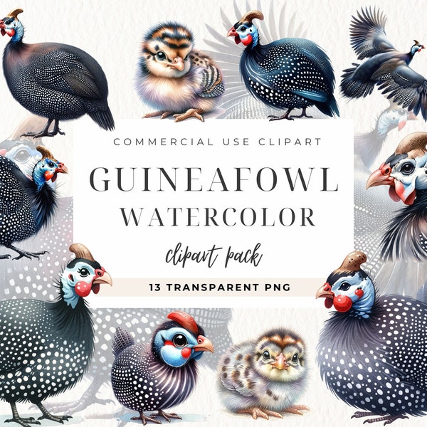 Guineafowl clipart, Helmeted Guinea Fowl, Watercolor Clipart, Printable, Cricut, Cute Bird Clip Art, Commercial Use, Digital Paper Craft