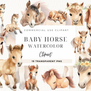 Acuarela bebé caballo clipart, animales bebés, imágenes prediseñadas occidentales, baby shower, animales de granja, descarga digital, arte infantil, uso comercial