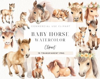 Acuarela bebé caballo clipart, animales bebés, imágenes prediseñadas occidentales, baby shower, animales de granja, descarga digital, arte infantil, uso comercial