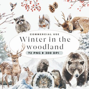 Winter Woodland Clipart, Forest Winter Landscape, Forest Animals, Pine Trees, Nursery Art, Christmas Woodland Animals, Png Graphics, Cozy