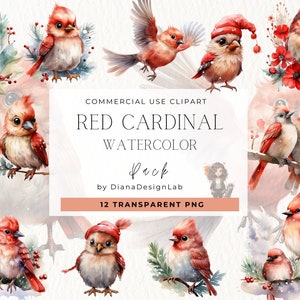 Kerst rode kardinaal aquarel clipart, wintervogels, aquarel clipart bundel, wenskaarten, kaart maken, commercieel gebruik, vogel Kerstmis
