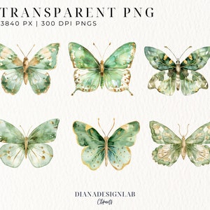 May include: 15 watercolor butterfly illustrations with green and gold accents. The butterflies are isolated on a white background.