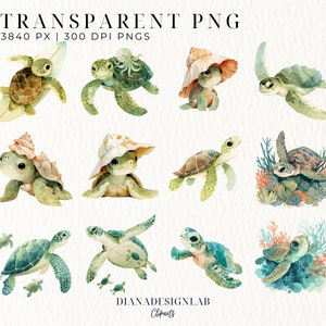 Pu&ograve; includere: Un set di 28 illustrazioni ad acquerello di tartarughe marine in varie pose, tra cui nuotare, fare surf, indossare cappelli e riposare sulle barriere coralline. Le illustrazioni sono in tonalit&agrave; di verde, blu e marrone.
