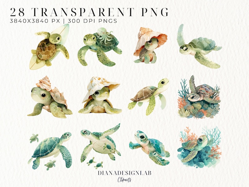 Pu&ograve; includere: Un set di 28 illustrazioni ad acquerello di tartarughe marine in varie pose, tra cui nuotare, fare surf, indossare cappelli e riposare sulle barriere coralline. Le illustrazioni sono in tonalit&agrave; di verde, blu e marrone.