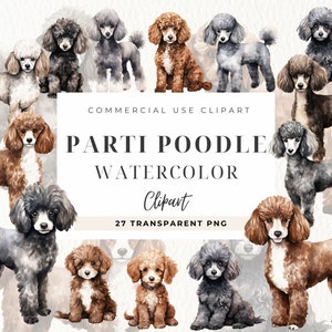 Parti Poodle Clipart, Cute Dog, filhote Png, imagem de animais, retratos de cachorro, clipart de proprietário de poople, sublimação de cachorro, uso comercial