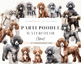 Parti Poodle Clipart, Cute Dog, puppy Png, Animals Image, Dog Portraits, Poople Owner clipart, Dog Sublimation, Commercial Use