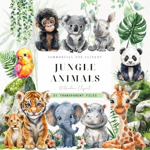 Clipart bébés jungle, jungle baby shower, décoration de chambre d'enfant Safari, tout usage commercial, chambre d'enfant, bébé animal Safari Png, téléchargement numérique, éléphant