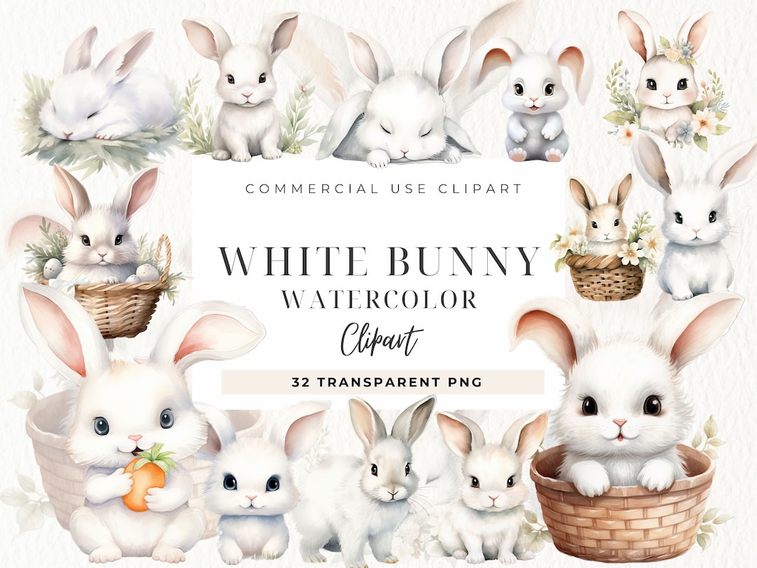 Cute White Bunny Clipart, Baby Bunny PNG, Bunny Illustration, Children