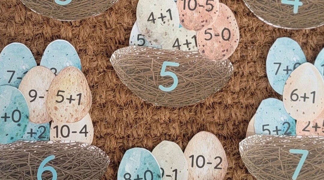 Bird's Nest Math Pack - Etsy