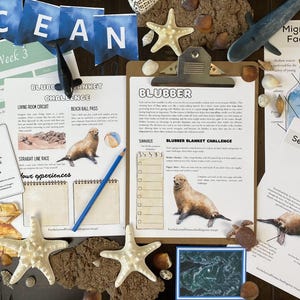 May include: Educational resources for a marine biology lesson. Includes printed worksheets with text, illustrations of sea lions, and the word "Ocean" on blue banners. Also features starfish, sand, and a pencil.
