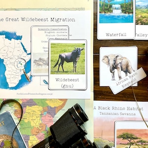 Tanzania Unit Study
