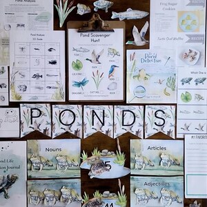 May include: Educational resources with a pond theme, featuring a 'Pond Scavenger Hunt' checklist, a journal, and worksheets. Illustrations include turtles, fish, and frogs. The word 'PONDS' is spelled out with individual letter cards.