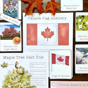 Studio dell'Unità canadese