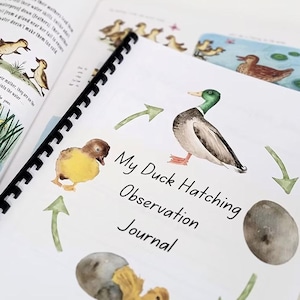 May include: A spiral-bound journal titled "My Duck Hatching Observation Journal" with illustrations of ducks and ducklings. The cover features a watercolor painting of a duck and green arrows. An open book with duck illustrations is visible.
