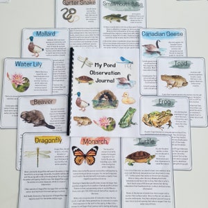 Winter Pond Nature Study