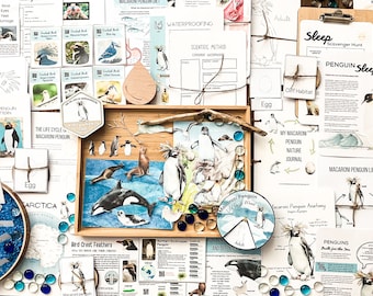 May include: A collection of educational materials about macaroni penguins, including a life cycle chart, anatomy diagram, and a felt pattern. The materials are laid out on a wooden table with blue and white glass beads scattered around. The text "My Macaroni Penguin Nature Journal" is visible on one of the papers.