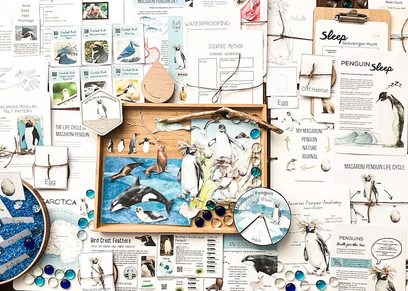 Macaroni Penguin Unit Study - Etsy