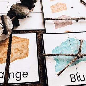 May include: Cards with watercolor illustrations of cheese wedges in orange, pink, and blue, tied together with twine. The cards have the words "Orange" and "Blue" printed on them. A sprig of dried eucalyptus is in the upper left corner.
