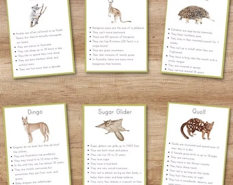 May include: Six educational cards with illustrations and facts about Australian animals: Koala, Kangaroo, Echidna, Dingo, Sugar Glider, and Quoll. Each card features a drawing of the animal and bullet-pointed information about its characteristics.