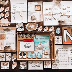 N is for Nest Early Learning Pack
