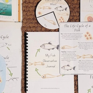 Fish Life Cycle Nature Study