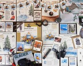Winter Signs & Survival Nature Study