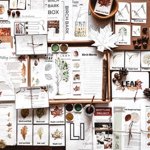 Trees and Leaves Learning Pack