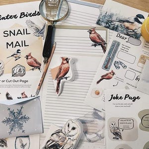 May include: A collection of stationery items with a winter bird theme. Includes printed pages with text like "Winter Birds" and "SNAIL MAIL", stickers, and a magnifying glass. The color palette features soft blues, browns, and whites.