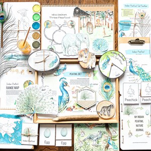 May include: A set of educational resources for learning about Indian peacocks. The set includes a range map, a life cycle wheel, a Venn diagram, a peafowl diet chart, and a variety of other activities. The resources are printed on white paper and feature colorful illustrations of peacocks.