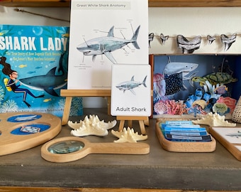 Oceans Diorama Project