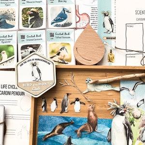Macaroni Penguin Unit Study - Etsy