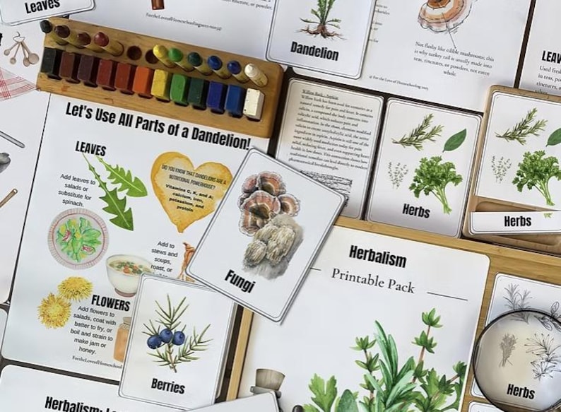 Herbalism Unit - Etsy