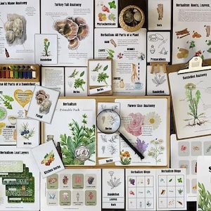 May include: An assortment of educational resources on herbalism, including illustrated cards, charts, and a magnifying glass. The items feature botanical illustrations, diagrams, and text, focusing on plant anatomy and uses. The colour palette includes greens, browns, and whites.