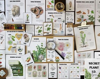 May include: An assortment of educational resources on herbalism, including illustrated cards, charts, and a magnifying glass. The items feature botanical illustrations, diagrams, and text, focusing on plant anatomy and uses. The colour palette includes greens, browns, and whites.
