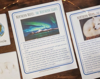 May include: Educational cards featuring the Northern Lights and an Arctic Fox, with the text "Northern Notes". The cards are on a wooden surface, with a card showing the Arctic Circle.