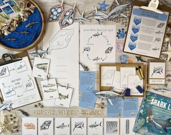 May include: A set of educational materials for learning about the life cycle of a great white shark. The set includes a variety of colorful illustrations, diagrams, and text cards. The materials are designed to be used in a classroom or at home.
