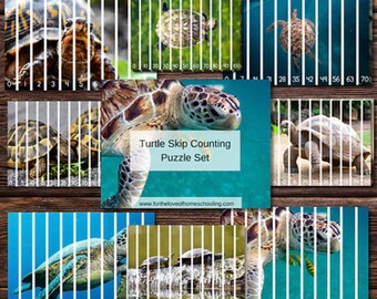 Turtle Skip Counting Puzzle Set