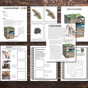 May include: A set of educational worksheets for children about oil and water, hydrocarbons, and the anatomy of an oil reservoir. The worksheets feature colourful illustrations and diagrams, including a prehistoric whale fossil, an ammonite fossil, and a cross-section of an oil reservoir.