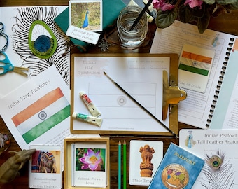 India Unit Study
