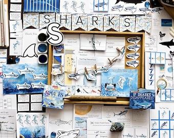 May include: A collection of educational materials for a shark-themed classroom unit. The materials include a variety of activities, such as fact cards, games, and crafts. The materials are colorful and engaging, and they are sure to help students learn about sharks.